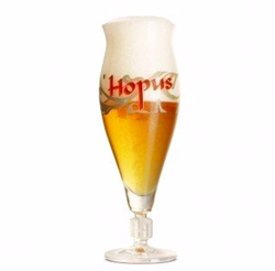 Hopus Glas 33cl