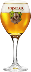 Lupulus Bokaal 25cl