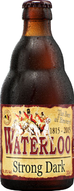 Waterloo Double Brune 24x33cl